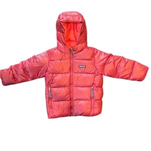 Patagonia Hi-Loft Down Sweater Hoodie